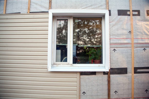 Best Brick Veneer Siding  in Shoreview, MN