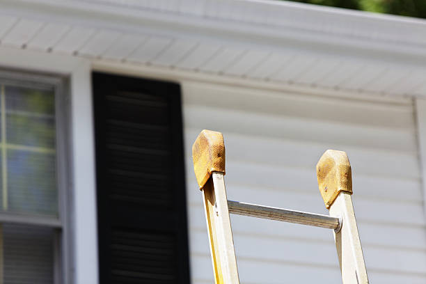 Affordable siding repair and maintenance services in Shoreview, MN