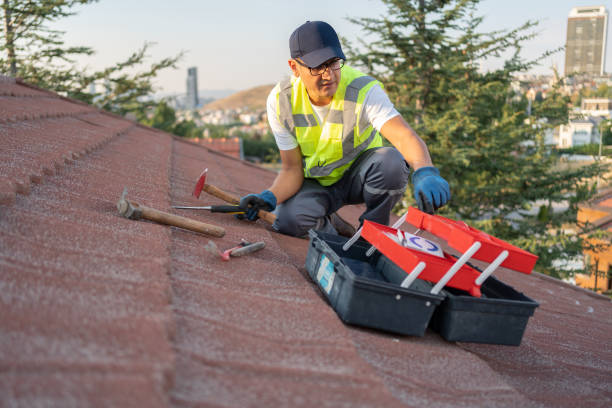 Storm Damage Siding Repair in Shoreview, MN